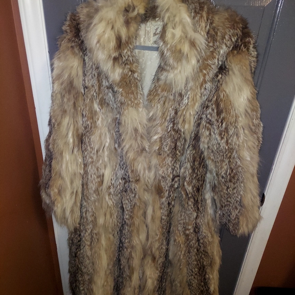 Beautiful  Lynx  Coat